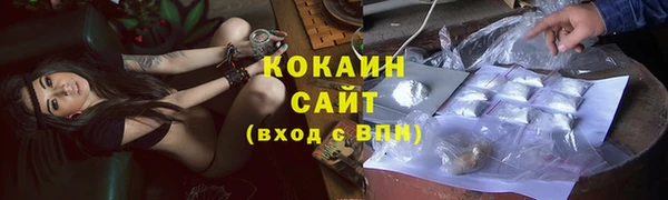 ПСИЛОЦИБИНОВЫЕ ГРИБЫ Белоозёрский