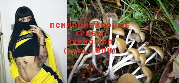 гашишное масло Беломорск